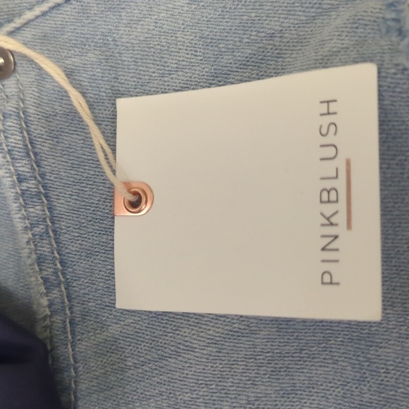 PINKBLUSH Light Wash Distressed Frayed Hem Denim Shorts ~ NWT - Picture 8 of 12